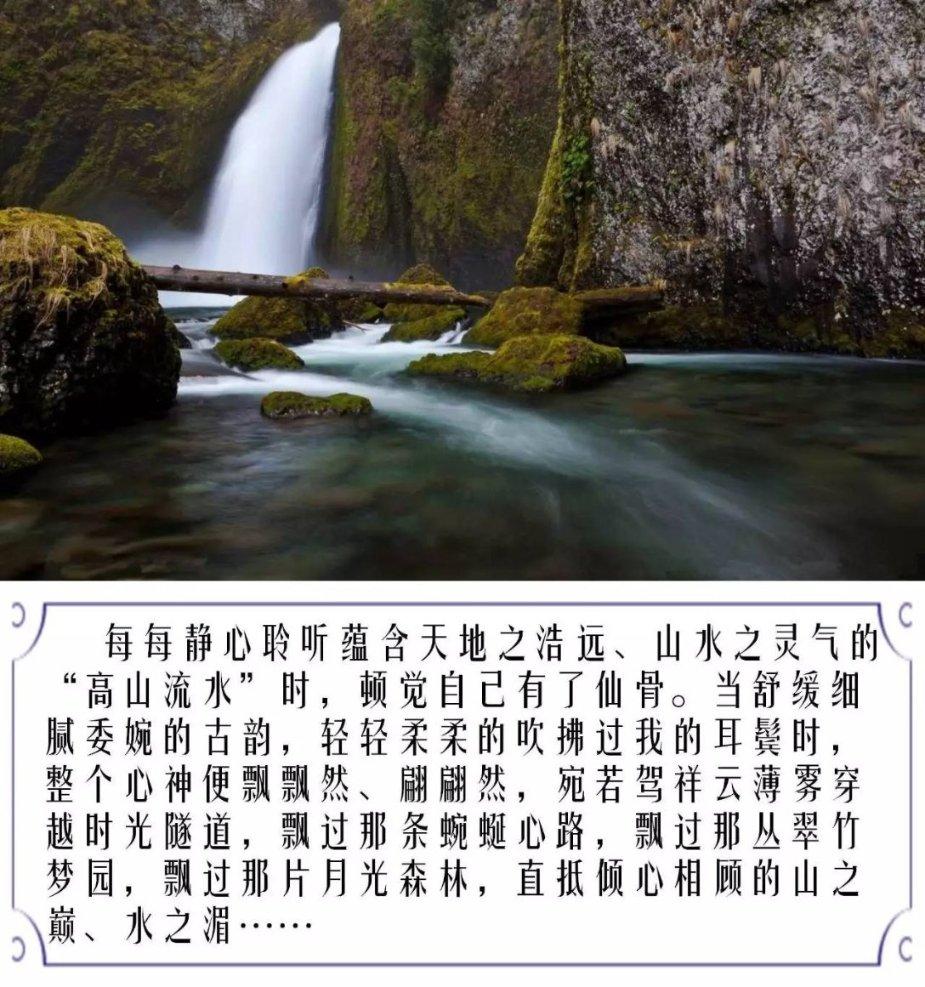 蓝狐视频